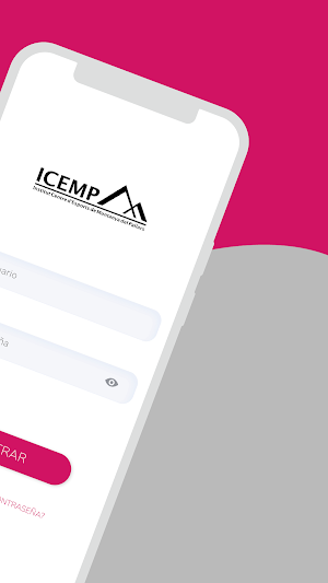 ICEM Pallars Screenshot 1
