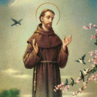 Novena a San Francisco de Asís