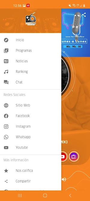 Radio Flow Screenshot 3