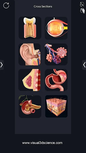 Human Anatomy Pro Screenshot 0