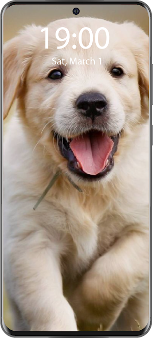 Puppy Live Wallpaper Parallax Screenshot 1