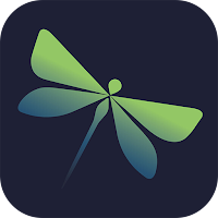 Dragonfly Hub