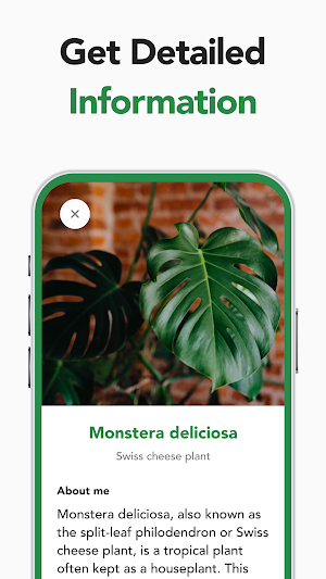 Plant Care: Plant Identifier Screenshot 1