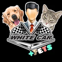 white car pets