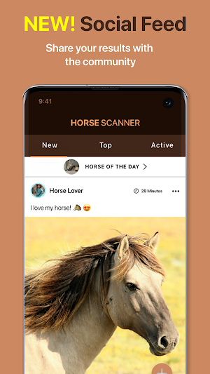 Horse Scanner – Horse Breed Identification Screenshot 3