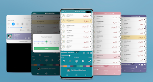 Qari Waheed Zafar Qasmi - Full Offline Quran MP3 Screenshot 0