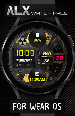 ALX25 LCD Watch Face Screenshot 2