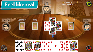 29 Card Game Screenshot 3