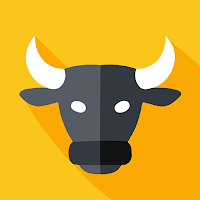 BullStock