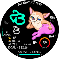 PEACH CHIHUAHUA