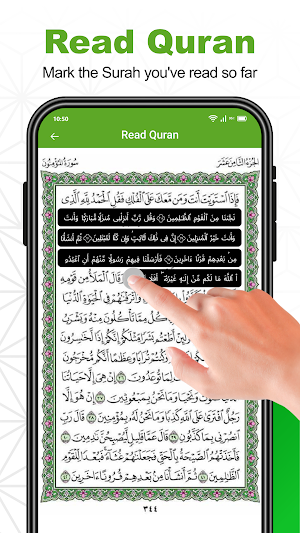 Al Quran Majeed القرآن الكريم Screenshot 2