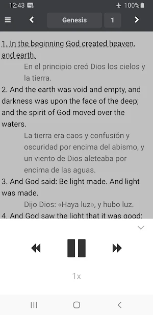 Catholic Bilingual Bible Now Screenshot 2