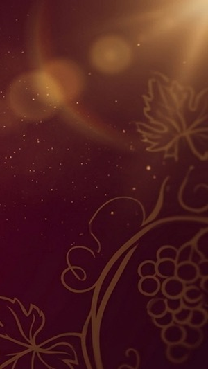 Casino Secret Screenshot 3