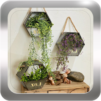 Plants Decorating Idea
