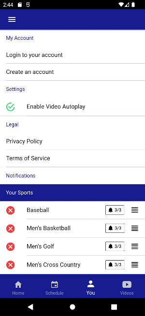 Marymount Saints Screenshot 1