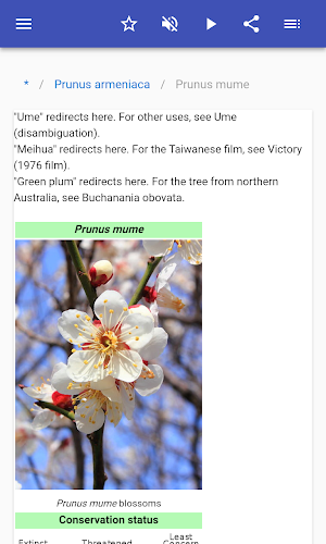 Fruit trees Screenshot 2