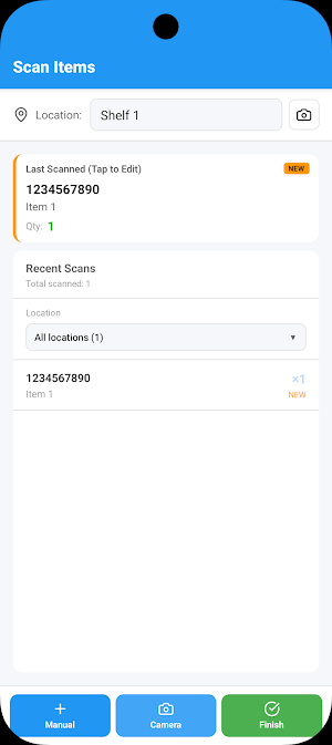 Singhal V Associates - Audit Screenshot 2