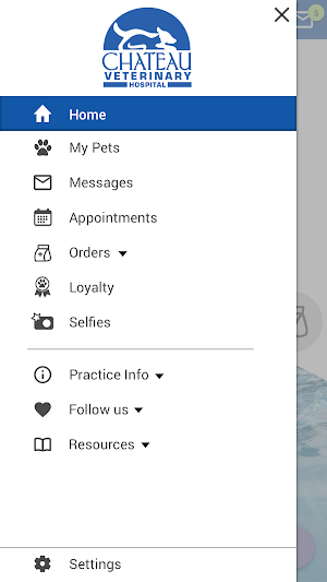 Chateau Veterinary Hospital Screenshot 1