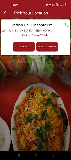 Indian Grill Oneonta NY Screenshot 1
