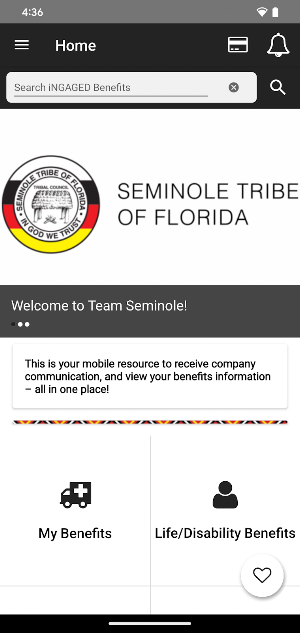 Team Seminole Screenshot 3