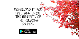Relax Sounds Screenshot 3