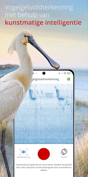 Vogels van Nederland en België Screenshot 1