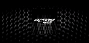 Rádio Cultura Web Santos Screenshot 3