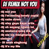 DJ Not You Viral Alan Walker