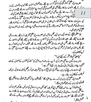 Taj ul Arfeen(Bagdadi) Screenshot 2