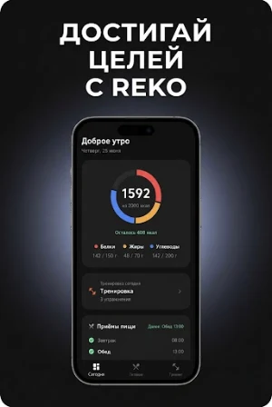 Reko Screenshot 1