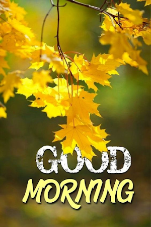 Good Morning Flowers Screenshot 0