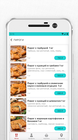 Sobolev Delivery Screenshot 2