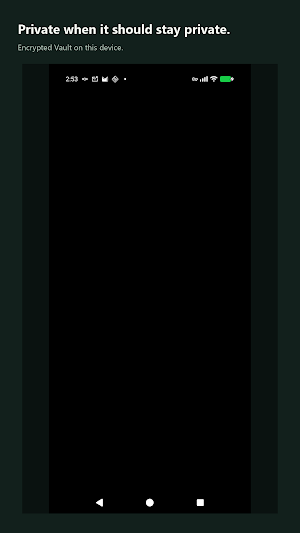 Vale Screenshot 0