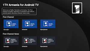 1TV Armenia for Android TV Screenshot 3