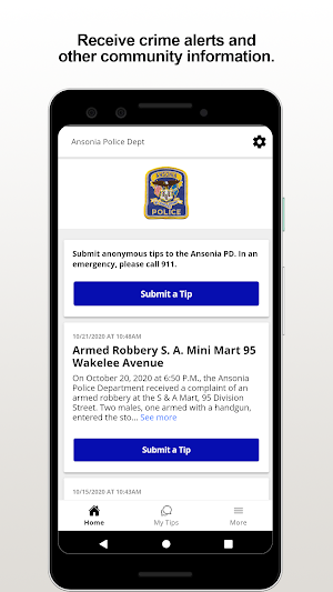 Ansonia PD Screenshot 0