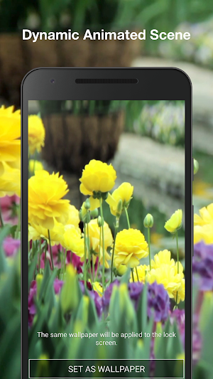 Spring Landscapes Wallpaper Screenshot 1