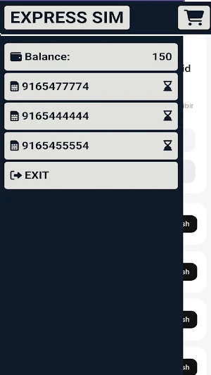 Express Sim Screenshot 0