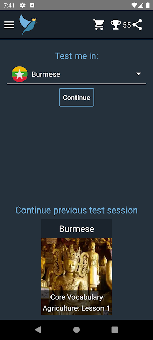 Burmese Language Tests Screenshot 0