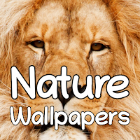 Nature Wallpapers