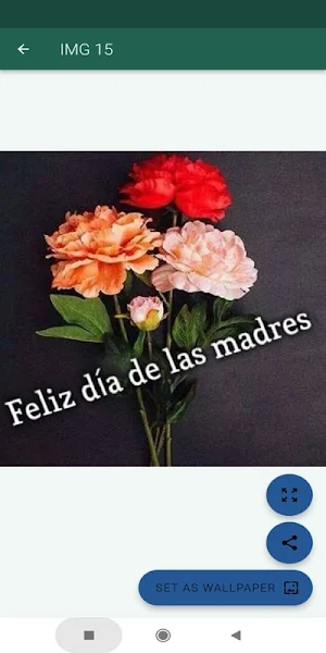 Feliz día de las madres Screenshot 0