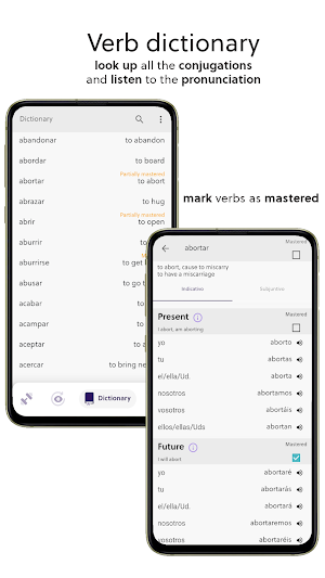 Spanish Verb Trainer: Learn verb conjugations Screenshot 3