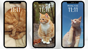 Cat Wallpaper Kawaii Screenshot 3