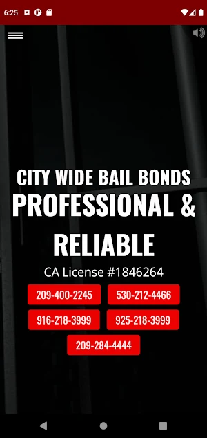 CityWide Bail Bonds Screenshot 2