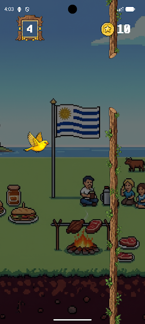 Voa, Canarinho! Screenshot 2