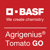 Agrigenius Tomato GO