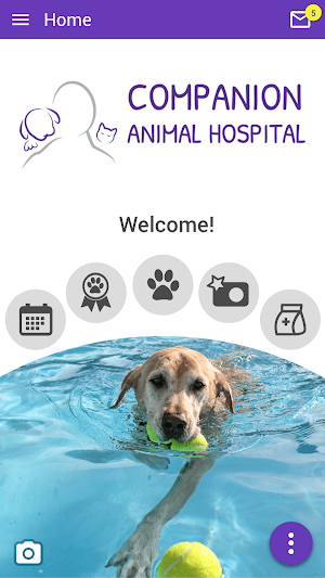 Companion Animal Hospital Screenshot 0