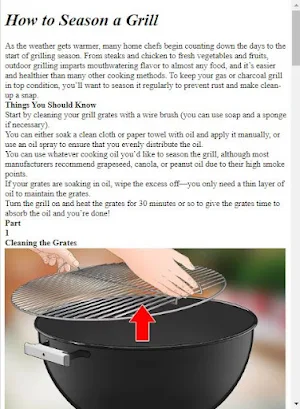 How to Make Barbecue Screenshot 3