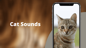 Cat Sounds - Cat Meow Sounds Ringtones Screenshot 1