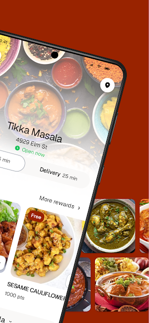 Tikka Masala Screenshot 1