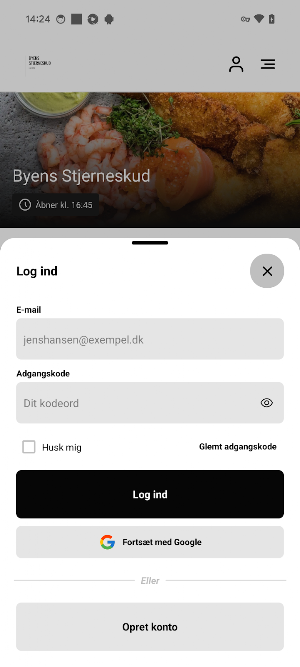 Byens Stjerneskud Screenshot 1